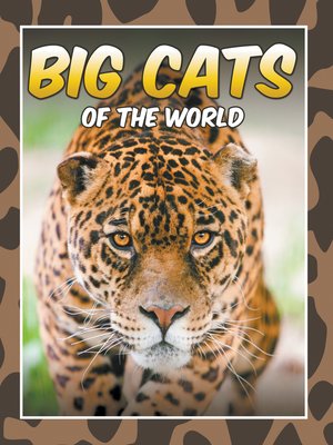 cover image of Big Cats of the World